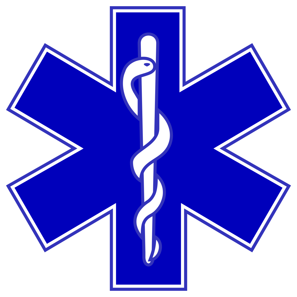 EMS Emblem